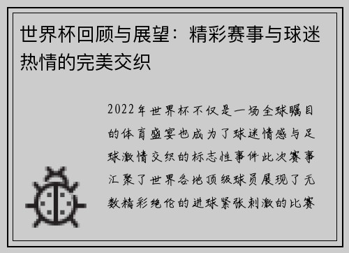 世界杯回顾与展望：精彩赛事与球迷热情的完美交织