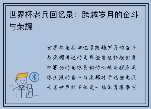 世界杯老兵回忆录:跨越岁月的奋斗与荣耀